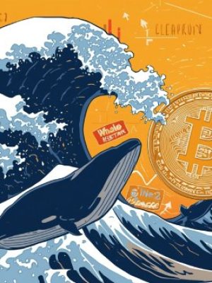 The Whale Factor in Bitcoin’s Price The Whale Factor in Bitcoin’s Price