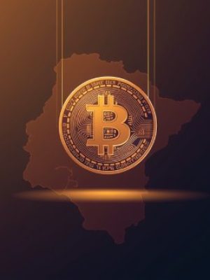 What’s Next? What’s Next?