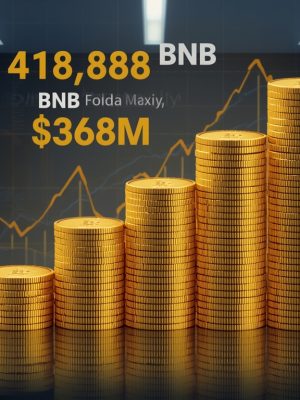 Why the World’s Largest BNB Treasury Matters