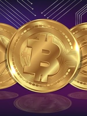 bitcoin Global Reactions and Market Sentiment